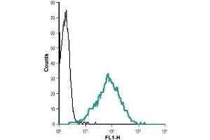 Cell surface detection of Nectin-2 in live intact human Jurkat T cell leukemia cells: (black line) Cells + goat-anti-rabbit-Alexa-488.