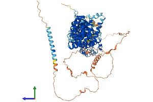 AlphaFold protein structure predicition of Human Recombinant SCYL1 Protein, UniprotID Q96KG9