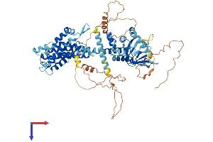 AlphaFold protein structure predicition of Mouse Recombinant Cngb3 Protein, UniprotID Q9JJZ9