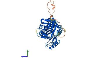 AlphaFold protein structure predicition of Human Recombinant SERPINB2 Protein, UniprotID P05120