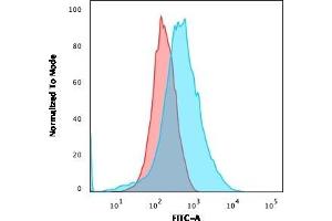 Flow Cytometric Analysis of U937 cells using CD15 MAb (Leu-M1) followed by goat anti-Mouse IgG-CF488 (Blue); Isotype Control (Red).