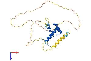 AlphaFold protein structure predicition of Human Recombinant HOXC8 Protein, UniprotID P31273