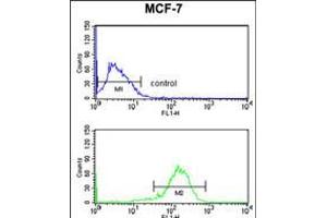 Flow cytometry analysis of MCF-7 cells (bottom histogram) compared to a negative control cell (top histogram). (IL-10RA anticorps  (AA 147-175))