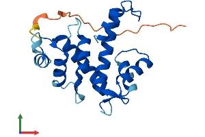 AlphaFold protein structure predicition of Mouse Recombinant Sri Protein, UniprotID Q6P069