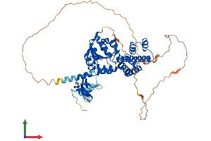 AlphaFold protein structure predicition of Human Recombinant GLYR1 Protein, UniprotID Q49A26