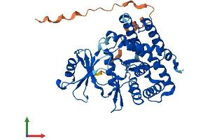 AlphaFold protein structure predicition of Mouse Recombinant Etnk2 Protein, UniprotID A7MCT6