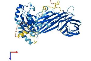 AlphaFold protein structure predicition of Mouse Recombinant Ap5m1 Protein, UniprotID Q8BJ63