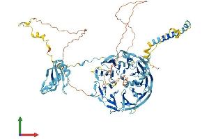 AlphaFold protein structure predicition of Human Recombinant EIF3B Protein, UniprotID P55884