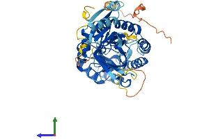 AlphaFold protein structure predicition of Human Recombinant AZIN2 Protein, UniprotID Q96A70