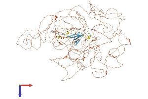 AlphaFold protein structure predicition of Human Recombinant PRX Protein, UniprotID Q9BXM0