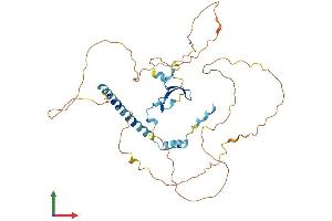 AlphaFold protein structure predicition of Human Recombinant WWTR1 Protein, UniprotID Q9GZV5