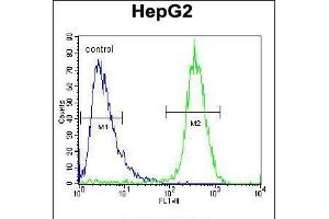 Flow cytometric analysis of HepG2 cells (right histogram) compared to a negative control cell (left histogram).