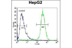 Flow cytometric analysis of HepG2 cells (right histogram) compared to a negative control cell (left histogram). (TYROBP anticorps  (C-Term))