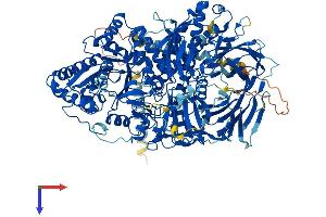 AlphaFold protein structure predicition of Human Recombinant MAN2A1 Protein, UniprotID Q16706