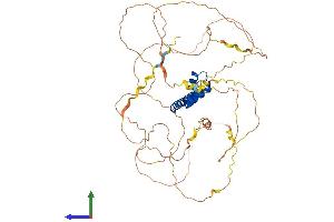 AlphaFold protein structure predicition of Mouse Recombinant Tox Protein, UniprotID Q66JW3
