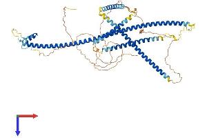 AlphaFold protein structure predicition of Mouse Recombinant Ssx2ip Protein, UniprotID Q8VC66