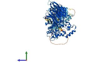 AlphaFold protein structure predicition of Human Recombinant NSMAF Protein, UniprotID Q92636