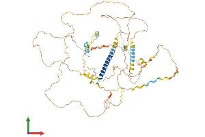 AlphaFold protein structure predicition of Mouse Recombinant Crtc1 Protein, UniprotID Q68ED7