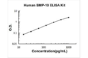 Bone Morphogenetic Protein 10 (BMP10) ELISA Kit
