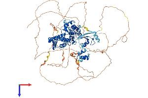 AlphaFold protein structure predicition of Mouse Recombinant Cbl Protein, UniprotID P22682