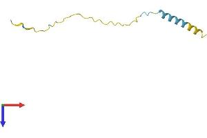 AlphaFold protein structure predicition of Human Recombinant SPANXN5 Protein, UniprotID Q5MJ07