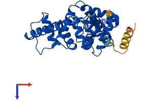 AlphaFold protein structure predicition of Human Recombinant TBC1D7 Protein, UniprotID Q9P0N9