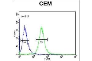 SMYD3 Antibody (Center) (ABIN6242627 and ABIN6578989) flow cytometric analysis of CEM cells (right histogram) compared to a negative control cell (left histogram). (SMYD3 anticorps  (AA 209-236))