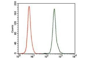 Image no. 1 for anti-Nuclear Receptor Subfamily 6, Group A, Member 1 (NR6A1) antibody (ABIN1491624)