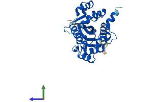 AlphaFold protein structure predicition of Human Recombinant NMNAT1 Protein, UniprotID Q9HAN9