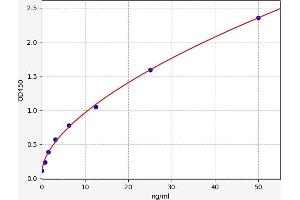 Typical standard curve (SCGB1A1 Kit ELISA)