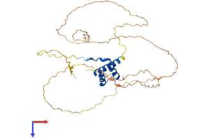 AlphaFold protein structure predicition of Mouse Recombinant Otx1 Protein, UniprotID P80205