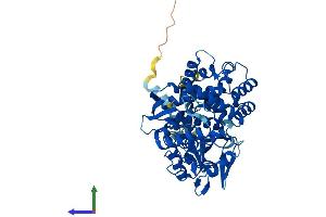 AlphaFold protein structure predicition of Mouse Recombinant Cyp7b1 Protein, UniprotID Q60991