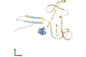 AlphaFold protein structure predicition of Mouse Recombinant Marco Protein, UniprotID Q60754