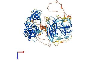 AlphaFold protein structure predicition of Human Recombinant MAP4K2 Protein, UniprotID Q12851