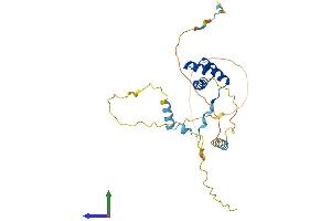 AlphaFold protein structure predicition of Human Recombinant BARX2 Protein, UniprotID Q9UMQ3