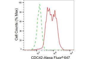 Flow cytometric analysis of CDC42 expression in HepG2 cells using CDC42 antibody (ABIN7798013), 1:2,000). (Recombinant CDC42 anticorps)