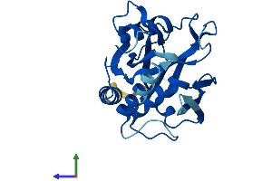 AlphaFold protein structure predicition of Mouse Recombinant Nudt7 Protein, UniprotID Q99P30