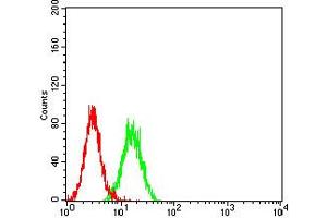 Flow cytometric analysis of K562 cells using ELANE mouse mAb (green) and negative control (red).