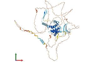 AlphaFold protein structure predicition of Human Recombinant CABLES1 Protein, UniprotID Q8TDN4