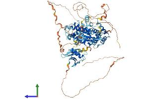 AlphaFold protein structure predicition of Mouse Recombinant Rin1 Protein, UniprotID Q921Q7