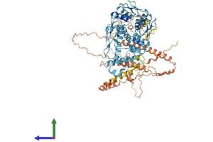 AlphaFold protein structure predicition of Human Recombinant ZNF544 Protein, UniprotID Q6NX49