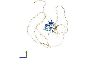AlphaFold protein structure predicition of Mouse Recombinant Elk3 Protein, UniprotID P41971