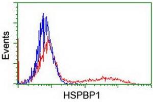 Flow Cytometry (FACS) image for anti-HSPA Binding Protein, Cytoplasmic Cochaperone 1 (HSPBP1) antibody (ABIN1498760) (HSPBP1 anticorps)