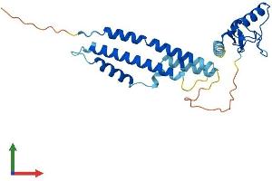 AlphaFold protein structure predicition of Mouse Recombinant Nsmce2 Protein, UniprotID Q91VT1