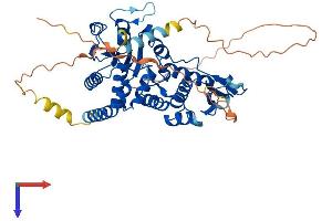 AlphaFold protein structure predicition of Human Recombinant CDC14B Protein, UniprotID O60729