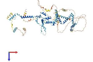 AlphaFold protein structure predicition of Human Recombinant UTP14A Protein, UniprotID Q9BVJ6