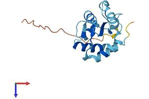 AlphaFold protein structure predicition of Mouse Recombinant Nhp2 Protein, UniprotID Q9CRB2