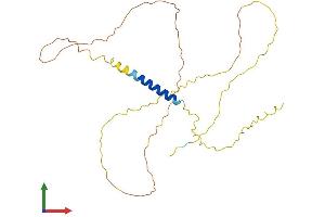 AlphaFold protein structure predicition of Mouse Recombinant Mgarp Protein, UniprotID Q8VI64