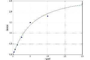 A typical standard curve