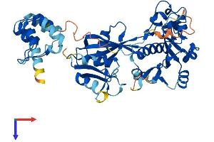 AlphaFold protein structure predicition of Human Recombinant NUDT12 Protein, UniprotID Q9BQG2